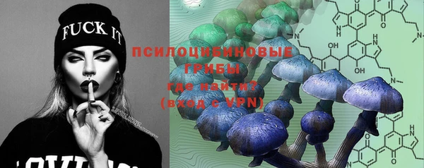 спиды Белоозёрский